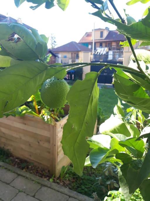 Casasassi Apartament Turyn