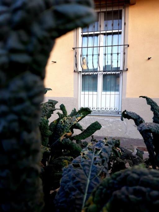 Casasassi Apartament *