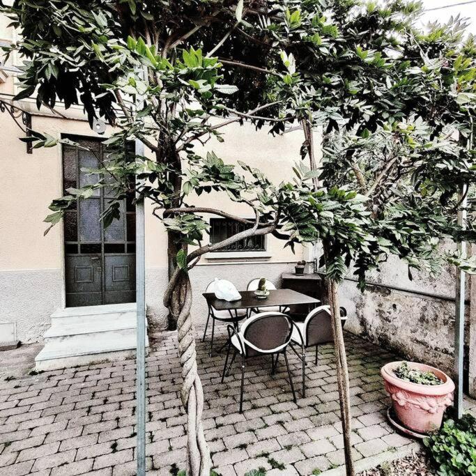 Apartament Casasassi
