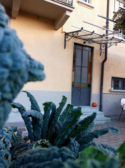 Casasassi Apartament *